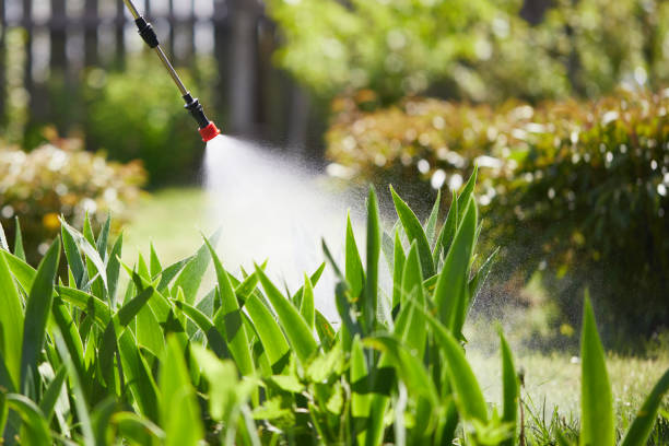 24/7 Emergency Wasp Removal experts in Bridgetown, OH