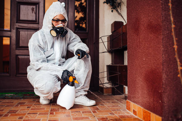 Reliable Wasp Removal contractor in Bridgetown, OH by Show Me Pest Control